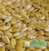 Lněné semínko zlaté - Velikost balení: 0,5 kg