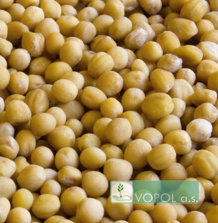 Hořčice bílá - Velikost balení: 1 kg