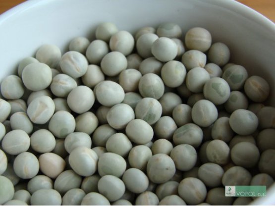 Hrách setý zelený - Velikost balení: 1 kg