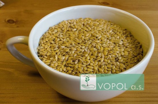 Lněné semínko zlaté - Velikost balení: 1 kg
